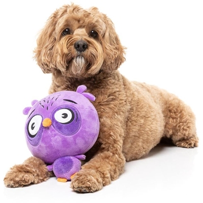 FuzzYard Toy Noggins Mød Uglen Hoo Dini Limited Edition